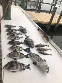 Gulf Shores Report Photo 2