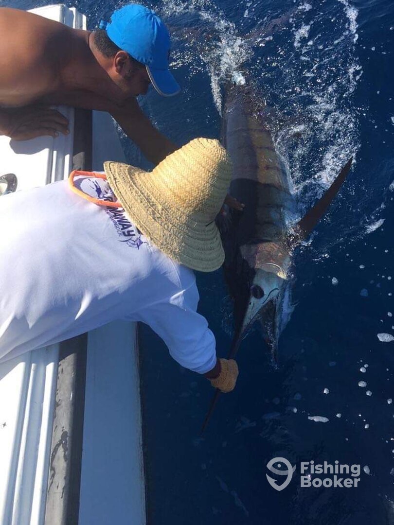 Tamarindo Report Photo 0