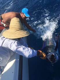 Tamarindo Report Photo 1