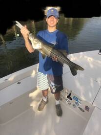 Big Snook are moving in!!
