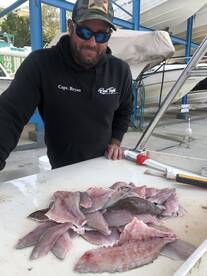 Capt Bryan with some nice fillets