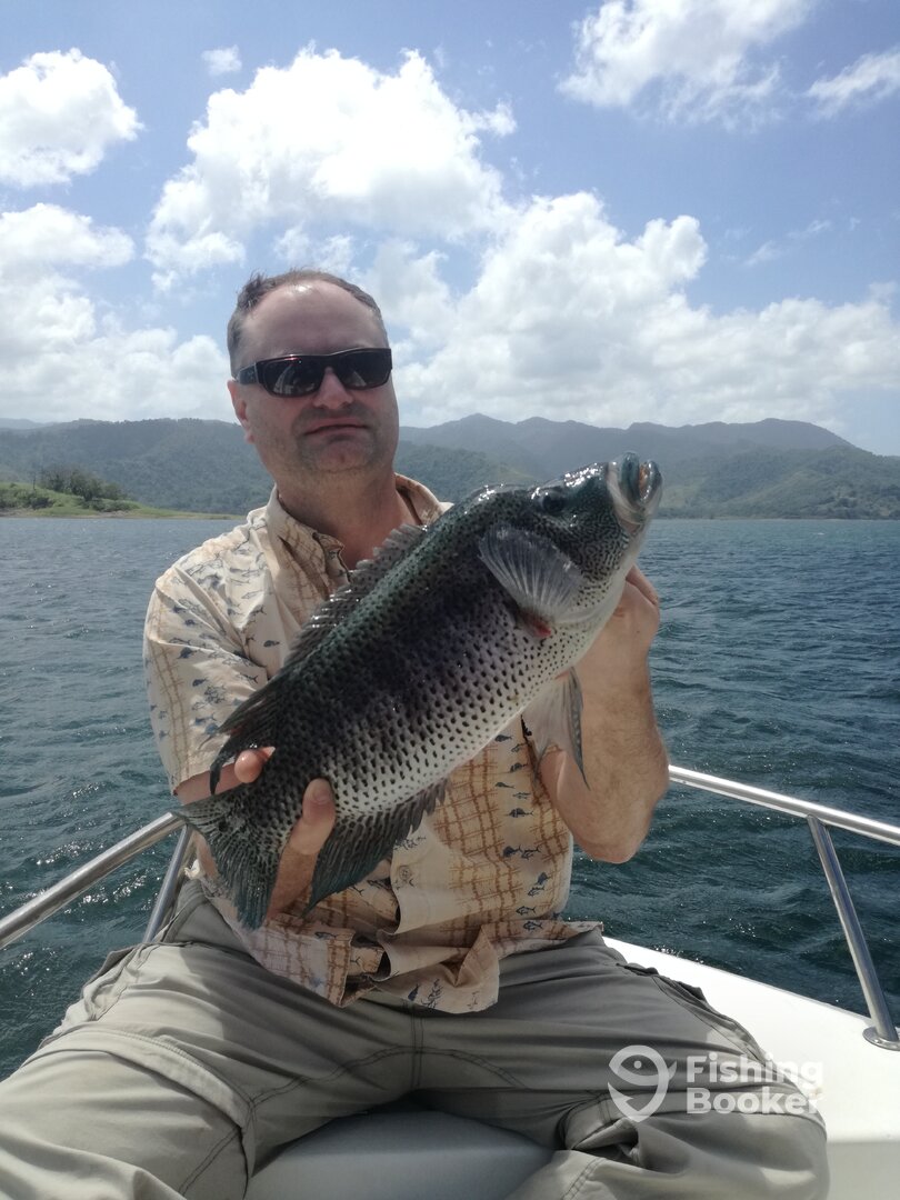 La Fortuna Report Photo 0