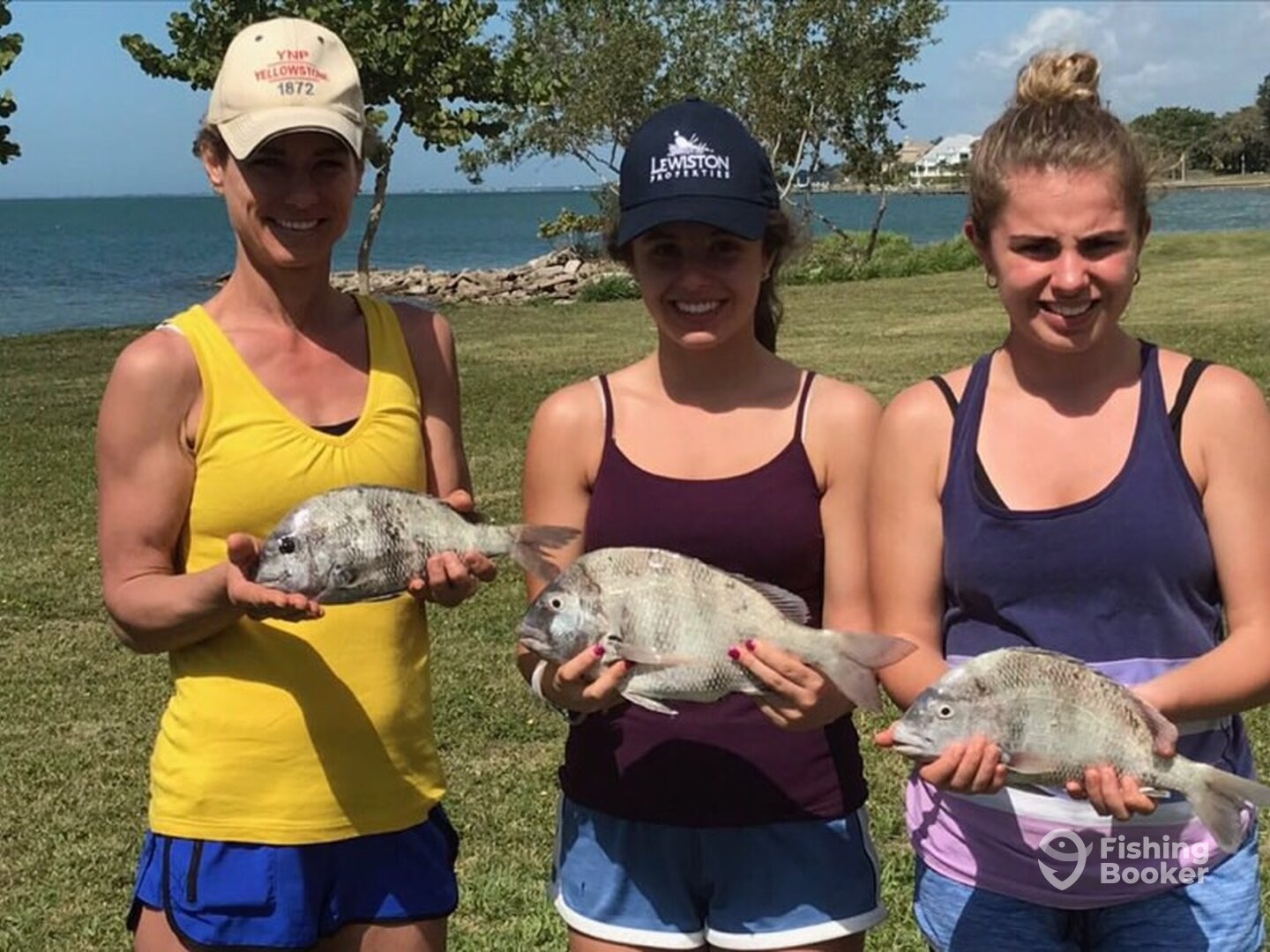 Nokomis Report Photo 0