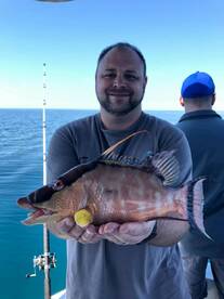 Clearwater Report Photo 2