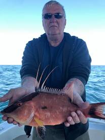 Clearwater Report Photo 2