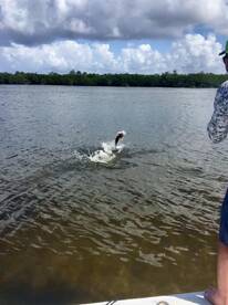 Bokeelia Report Photo 1