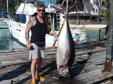 Big yellow-fin attacked by pilot whales.
