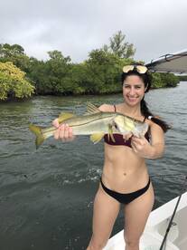 Sarasota Report Photo 2