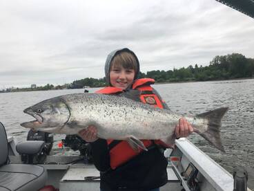 Columbia/ Willamette River Spring salmon