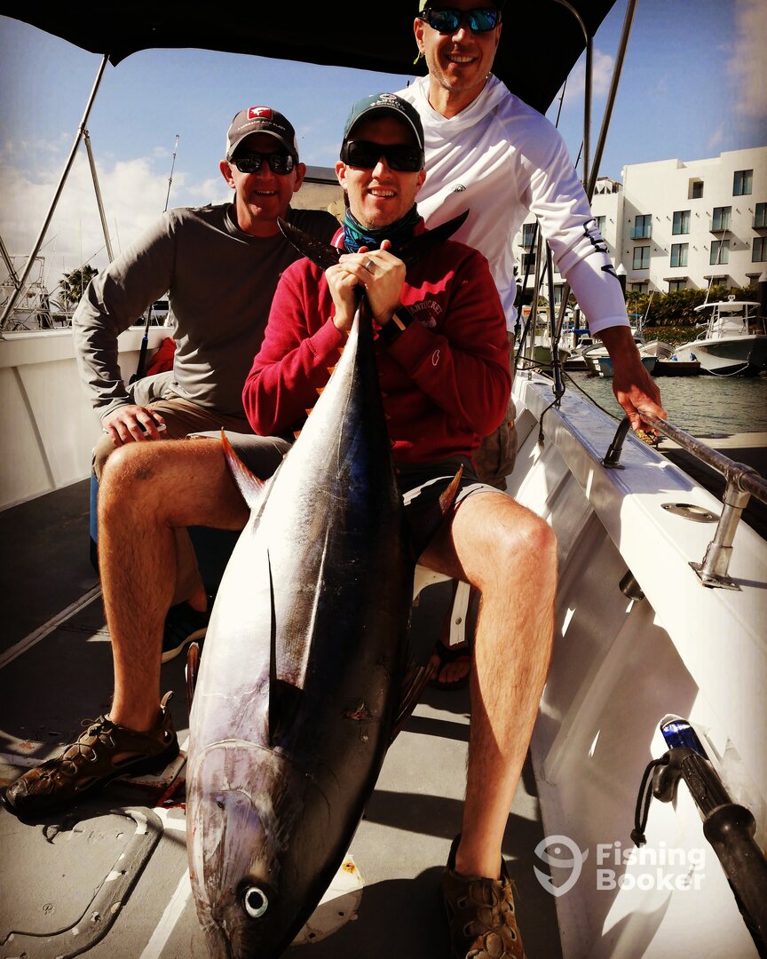 San Jose del Cabo Report Photo 0