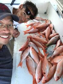 Snappers are starting to bite good