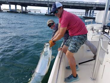 Tarpon season is coming soon!