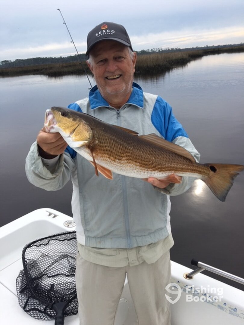 Jacksonville Report Photo 0