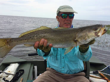 Steinhatchee Report Photo 1