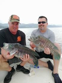 Some nice trophy fish today. 