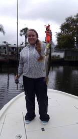 Clearwater Report Photo 2