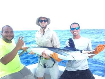 White Marlin in Puerto Rico