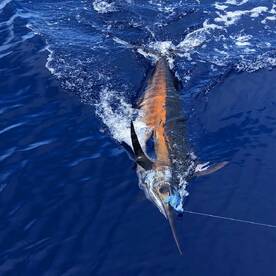 North Sound Estates Report Photo 2