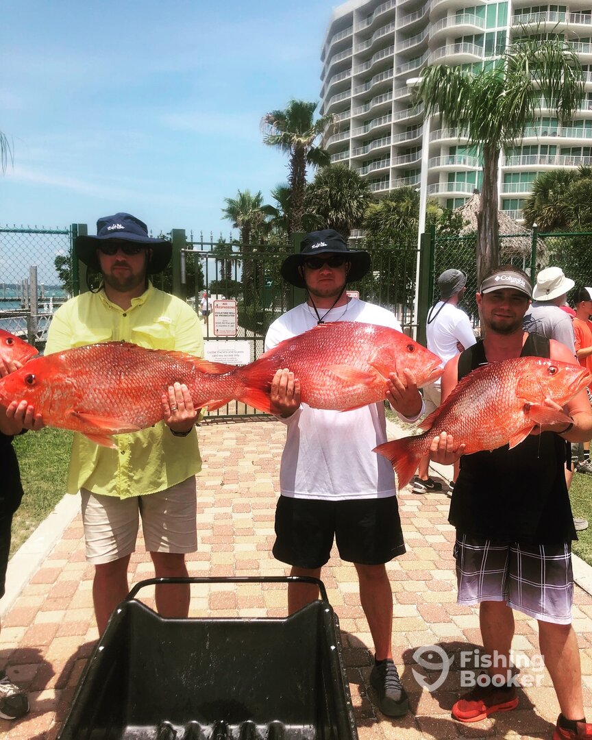 Orange Beach Report Photo 0