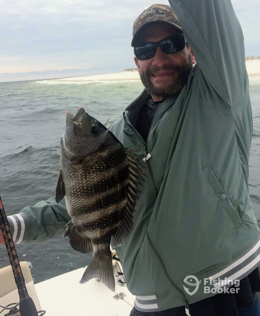 sheepshead