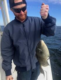 trigger fish