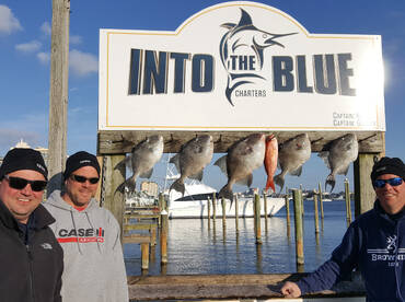 Destin Report Photo 1