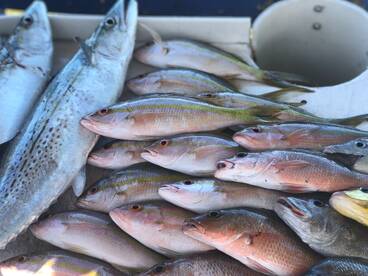 Marathon Report Photo 2