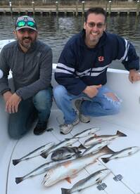 Fairhope Report Photo 1