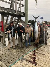 Manteo Report Photo 2