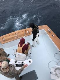 Manteo Report Photo 1