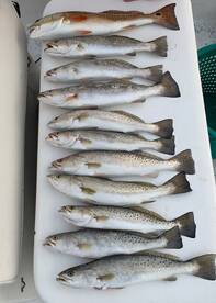 Port O'Connor Report Photo 1