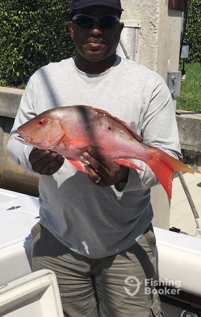 West Palm Beach Report Photo 0