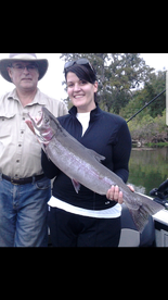 Del Norte County Report Photo 4
