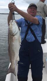 Redfish in Cocodrie 