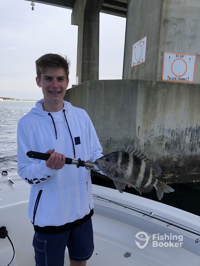 Orange Beach Report Photo 0