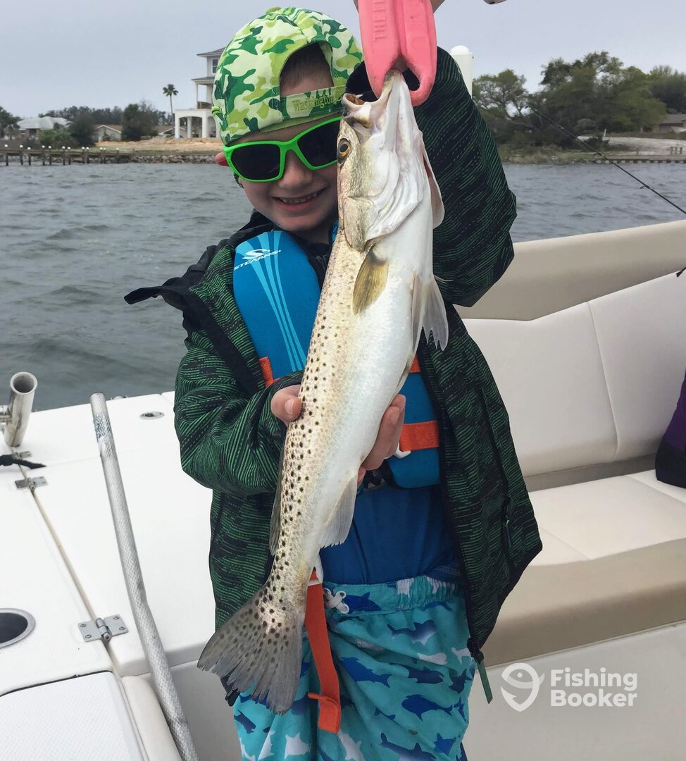 trout 11