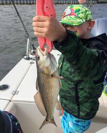 redfish 1