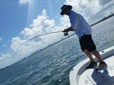 Bite and action continues to improve 