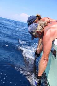 Quepos Report Photo 1