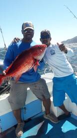 El Jobo Report Photo 2