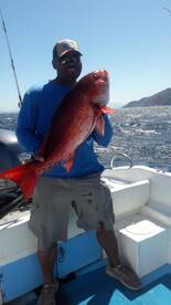 El Jobo Report Photo 1