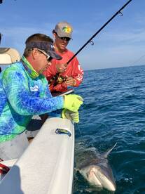Punta Gorda Report Photo 1