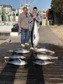 Manteo Report Photo 2
