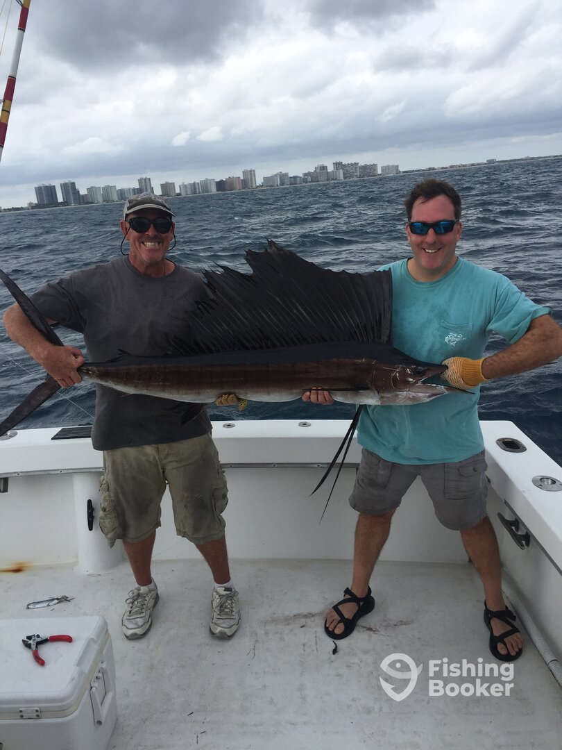 Dania Beach Report Photo 0
