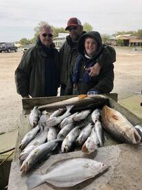 TROUT BITE IS BACK!