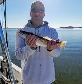 Mount Pleasant Report Photo 2