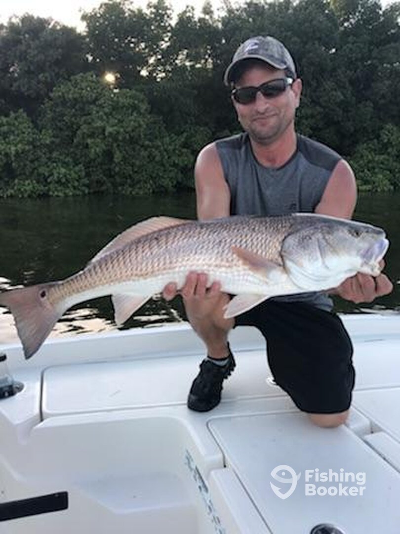Redfish