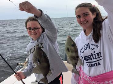 2 triggerfish