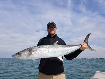 CRUSHING KINGFISH (and more...)