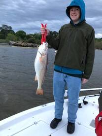 Texas City Report Photo 2